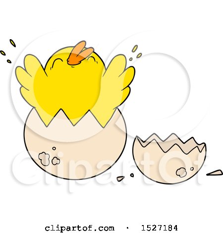 Cartoon Chick Hatching from Egg by lineartestpilot