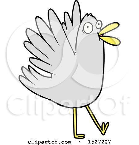 Cartoon Bird Squawking by lineartestpilot