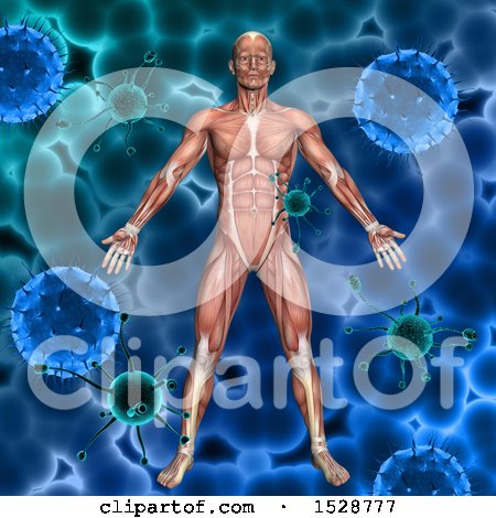 Clipart of a 3d Male Body with Visible Muscles, over a Background of Cells and Viruses - Royalty Free Illustration by KJ Pargeter