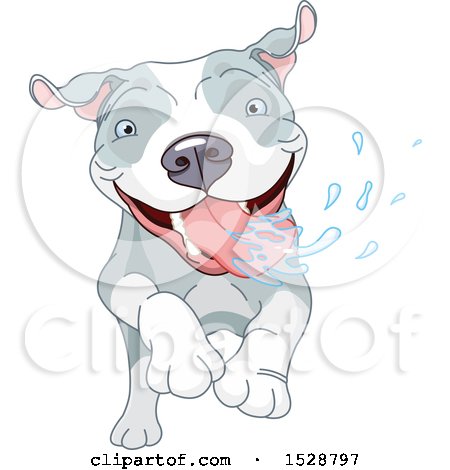 Clipart of a Happy Pit Bull Dog Running and Drooling - Royalty Free Vector Illustration by Pushkin