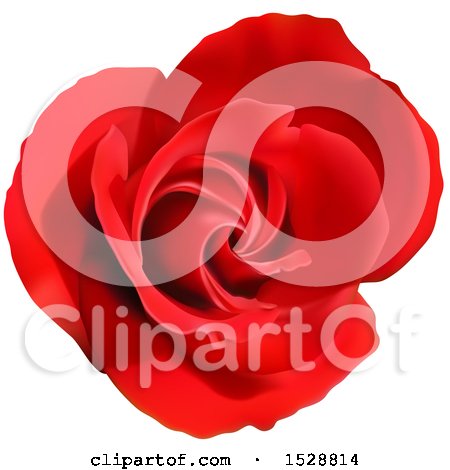 Clipart of a Blooming Red Rose Flower - Royalty Free Vector Illustration by dero