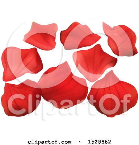 Clipart of Red Rose Petals - Royalty Free Vector Illustration by dero