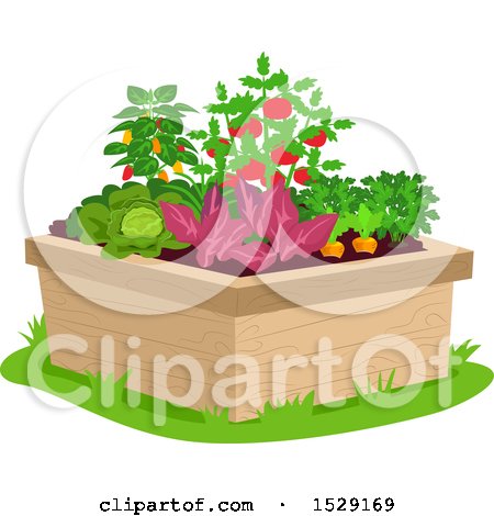 Clipart of a Raised Garden Bed with Vegetable Plants - Royalty Free Vector Illustration by BNP Design Studio