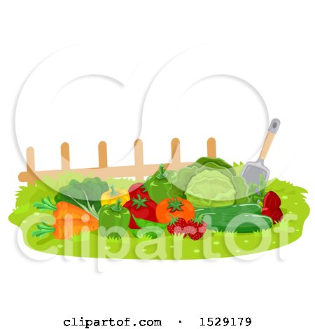Clipart of Fresh Harvested Produce with a Shovel by a Fence - Royalty Free Vector Illustration by BNP Design Studio
