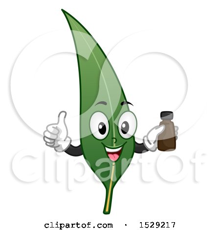 Clipart of a Happy Eucalyptus Leaf Character Holding a Bottle of Oil - Royalty Free Vector Illustration by BNP Design Studio