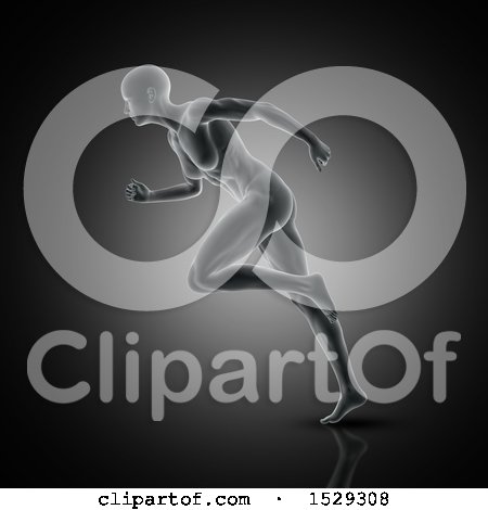 Clipart of a 3d Xray Woman with Visible Muscles, Running - Royalty Free Illustration by KJ Pargeter