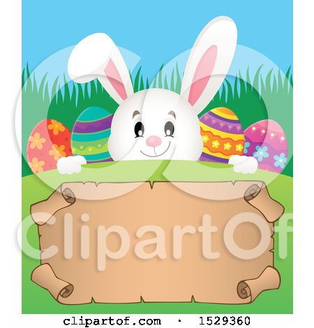 Clipart of a White Easter Bunny Rabbit over a Blank Parchment Scroll - Royalty Free Vector Illustration by visekart
