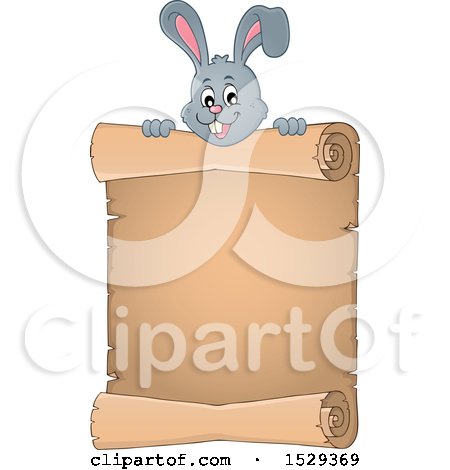Clipart of a Gray Bunny Rabbit over a Blank Parchment Scroll - Royalty Free Vector Illustration by visekart