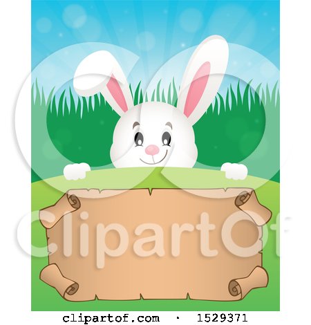 Clipart of a White Bunny Rabbit over a Blank Parchment Scroll - Royalty Free Vector Illustration by visekart