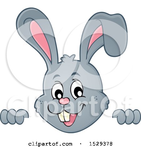 Clipart of a Gray Bunny Rabbit Peeking over a Surface - Royalty Free Vector Illustration by visekart