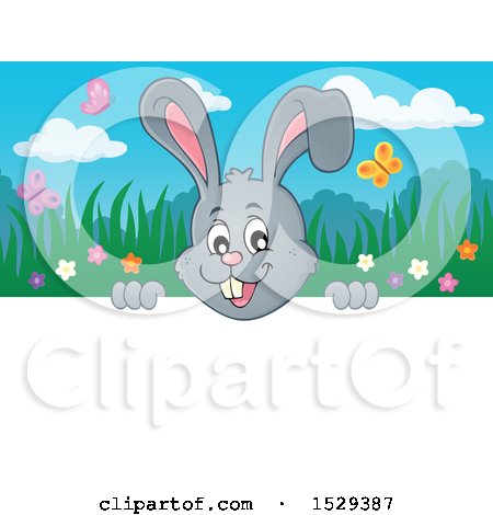 Clipart of a Gray Bunny Rabbit Peeking over a Sign - Royalty Free Vector Illustration by visekart