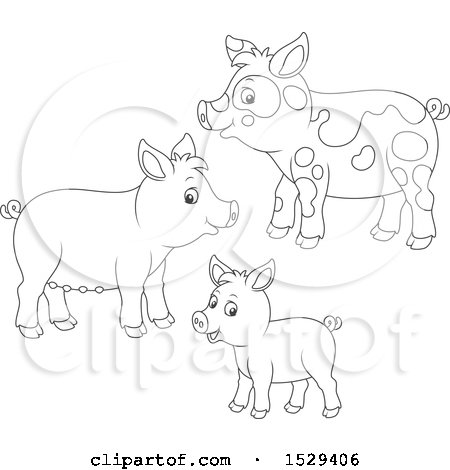 Clipart of a Black and White Pig Family - Royalty Free Vector Illustration by Alex Bannykh