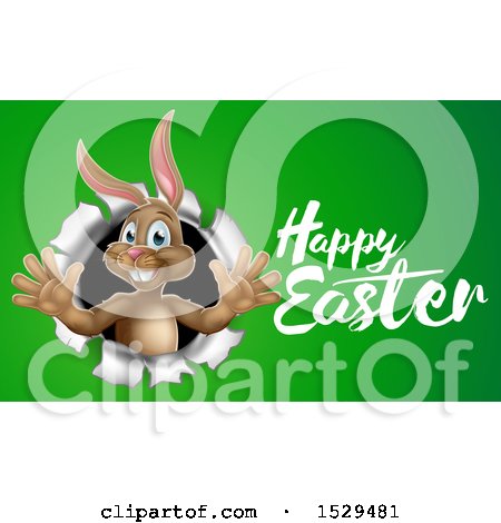 Clipart of a Happy Easter Greeting by a Brown Bunny Rabbit Breaking Through a Hole in a Wall, over Green - Royalty Free Vector Illustration by AtStockIllustration