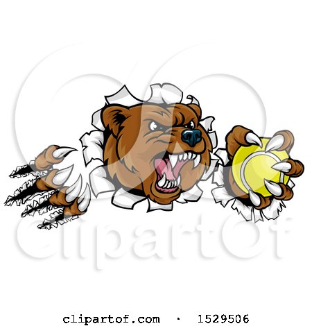 Clipart of a Vicious Aggressive Bear Mascot Slashing Through a Wall with a Tennis Ball in a Paw - Royalty Free Vector Illustration by AtStockIllustration