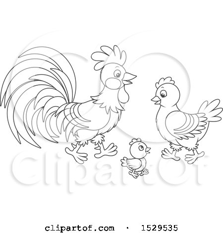 Clipart of a Black and White Chicken Family with a Chick Hen and Rooster - Royalty Free Vector Illustration by Alex Bannykh