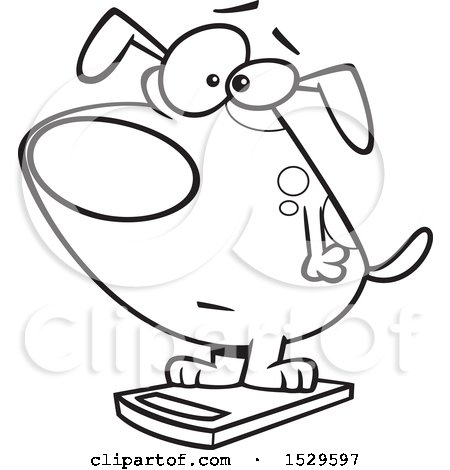 Clipart of a Cartoon Lineart Obese Dog on a Scale - Royalty Free Vector Illustration by toonaday