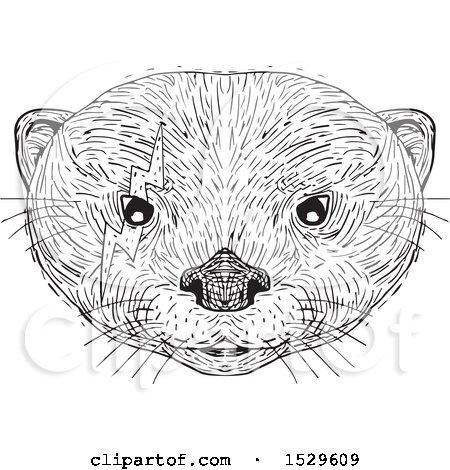 Clipart of a Black and White Asian Small Clawed Otter Face with a Bolt Around One Eye, in Drawing Sketch Style - Royalty Free Vector Illustration by patrimonio