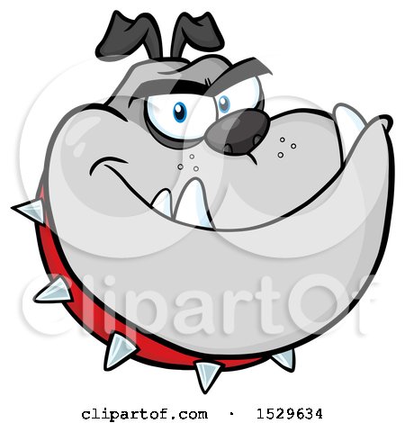 Clipart of a Tough Gray Bulldog Head Wearing a Spiked Collar - Royalty Free Vector Illustration by Hit Toon