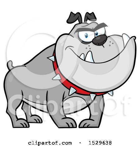Clipart of a Tough Gray Bulldog Wearing a Spiked Collar - Royalty Free Vector Illustration by Hit Toon