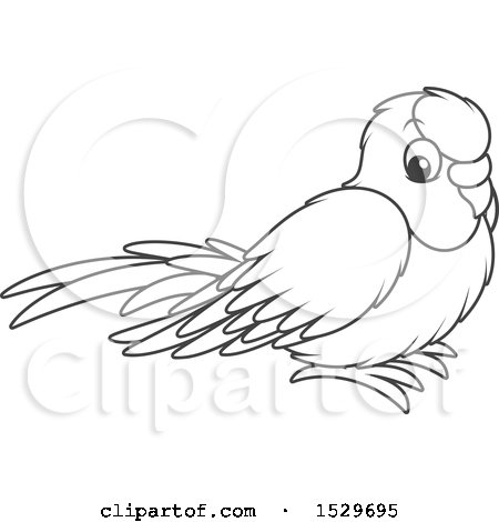 Clipart of a Black and White Cute Pet Budgerigar Parakeet Bird - Royalty Free Vector Illustration by Alex Bannykh