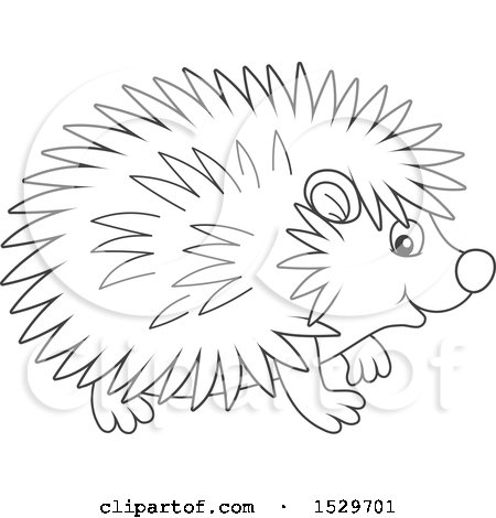 Clipart of a Black and White Cute Hedgehog - Royalty Free Vector Illustration by Alex Bannykh