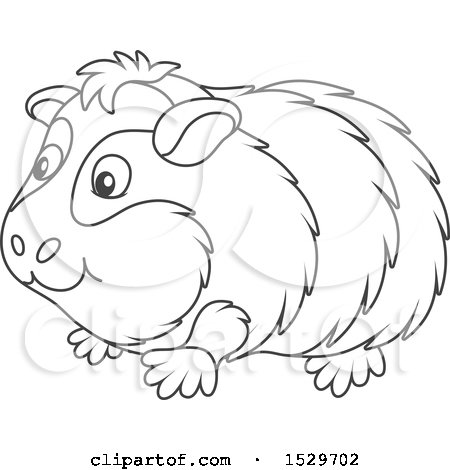 Clipart of a Black and White Cute Guinea Pig - Royalty Free Vector Illustration by Alex Bannykh