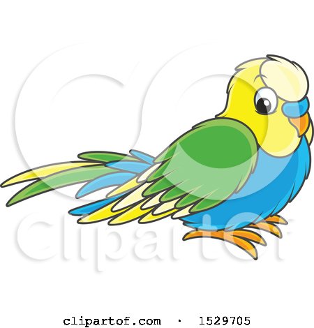 Clipart of a Cute Pet Budgerigar Parakeet Bird - Royalty Free Vector Illustration by Alex Bannykh