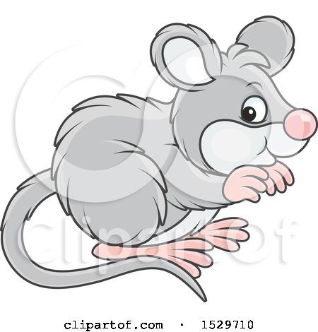 Clipart of a Cute Gray Mouse - Royalty Free Vector Illustration by Alex Bannykh