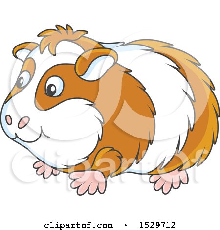 Clipart of a Cute Guinea Pig - Royalty Free Vector Illustration by Alex Bannykh
