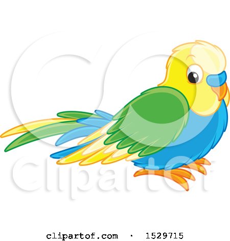 Clipart of a Cute Pet Budgerigar Bird - Royalty Free Vector Illustration by Alex Bannykh