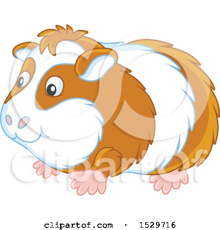 Clipart of a Cute Guinea Pig - Royalty Free Vector Illustration by Alex Bannykh