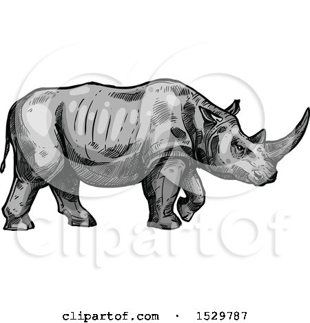 Clipart of a Sketched Rhino in Profile - Royalty Free Vector Illustration by Vector Tradition SM