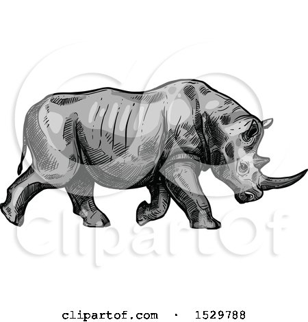 Clipart of a Sketched Rhino Charging - Royalty Free Vector Illustration by Vector Tradition SM