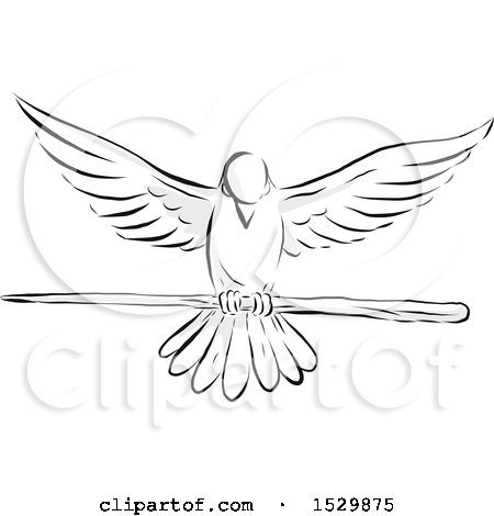 Clipart of a Sketched Dove Flying with a Wooden Staff - Royalty Free Vector Illustration by patrimonio