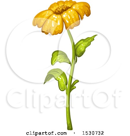 Clipart of a Yellow Daisy Flower - Royalty Free Vector Illustration by merlinul