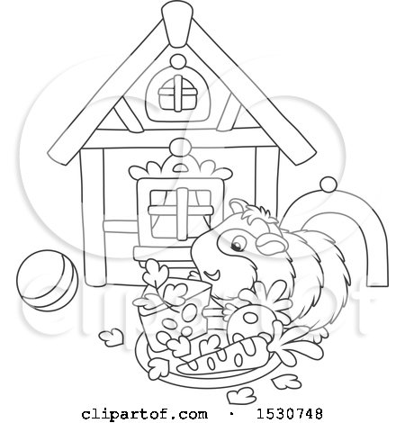 Clipart of a Black and White Pet Guinea Pig with a House, Toys and Plate of Food - Royalty Free Vector Illustration by Alex Bannykh
