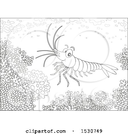 Clipart of a Black and White Shrimp Swimming over a Coral Reef - Royalty Free Vector Illustration by Alex Bannykh