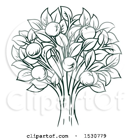 Clipart of a Dark Green Apple Tree - Royalty Free Vector Illustration by AtStockIllustration