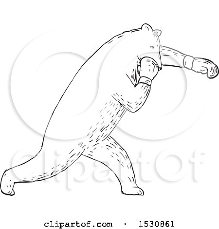 Clipart of a Sketched Boxing Bear in Black and White - Royalty Free Vector Illustration by patrimonio
