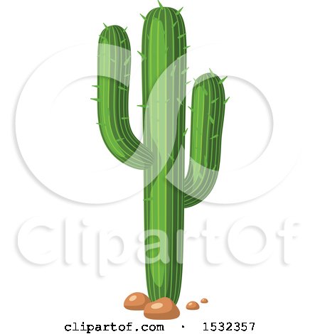 Clipart of a Saguaro Cactus - Royalty Free Vector Illustration by Vector Tradition SM