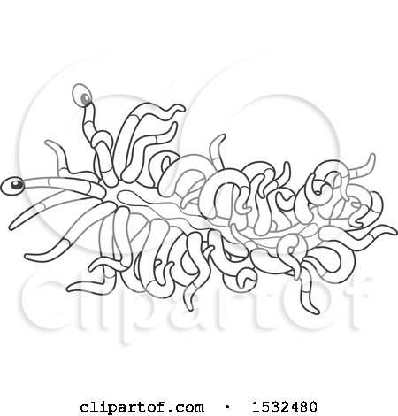 Clipart of a Black and White Sea Slug Nudibranch - Royalty Free Vector Illustration by Alex Bannykh