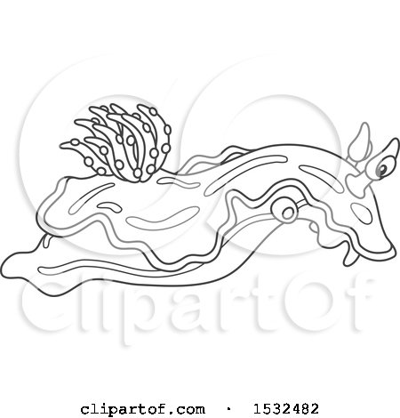 Clipart of a Black and White Chromodoris Willani Sea Slug Nudibranch - Royalty Free Vector Illustration by Alex Bannykh