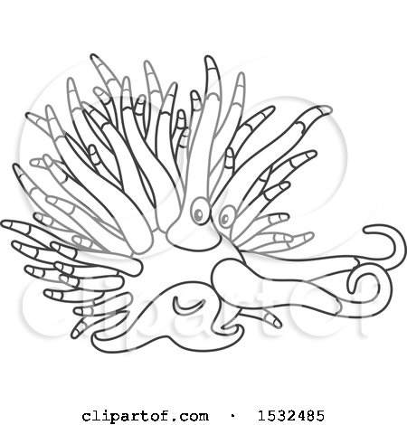 Clipart of a Black and White Sea Slug Nudibranch - Royalty Free Vector Illustration by Alex Bannykh