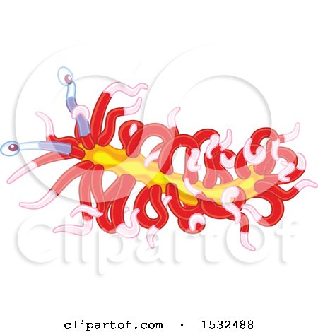Clipart of a Red and Yellow Sea Slug - Royalty Free Vector Illustration by Alex Bannykh