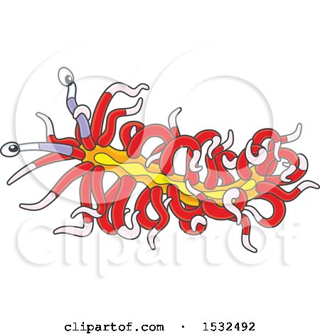 Clipart of a Red and Yellow Sea Slug Nudibranch - Royalty Free Vector Illustration by Alex Bannykh