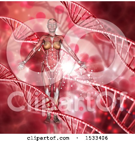 Clipart of a 3d Woman with Visible Muscle Structure on a Red Dna Background - Royalty Free Illustration by KJ Pargeter