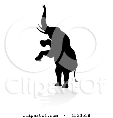 Clipart of a Silhouetted Rearing Elephant, with a Reflection or Shadow - Royalty Free Vector Illustration by AtStockIllustration