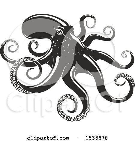 Clipart of a Grayscale Octopus - Royalty Free Vector Illustration by Vector Tradition SM