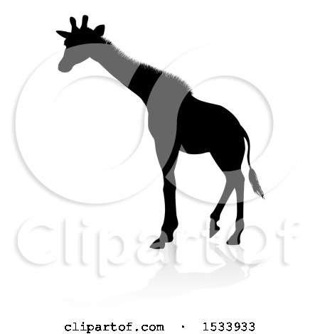 Clipart of a Silhouetted Giraffe with a Shadow on a White Background - Royalty Free Vector Illustration by AtStockIllustration