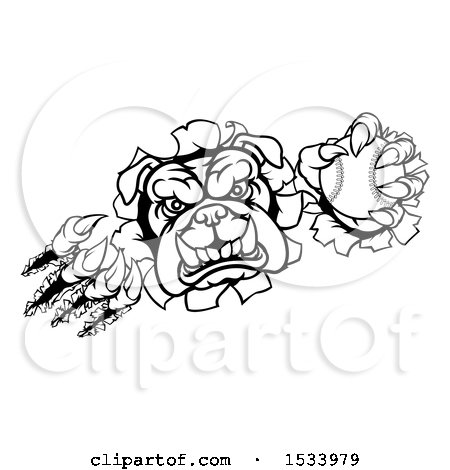 Clipart of a Black and White Bulldog Monster Shredding Through a Wall with a Baseball in One Hand - Royalty Free Vector Illustration by AtStockIllustration